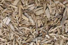 biomass boilers Lodge Lees